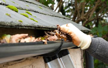 gutter cleaning The Wood, Shropshire