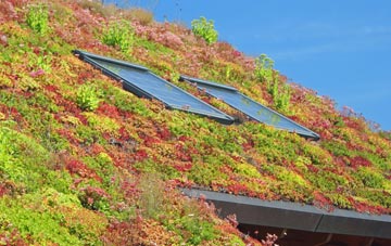 The Wood living roof systems