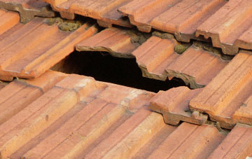 roof repair The Wood, Shropshire